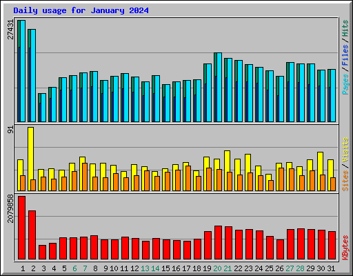 Daily usage for January 2024