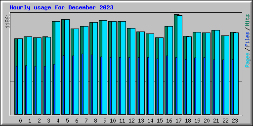 Hourly usage for December 2023