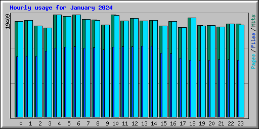 Hourly usage for January 2024