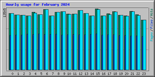 Hourly usage for February 2024