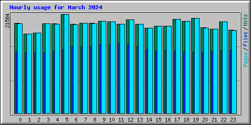 Hourly usage for March 2024