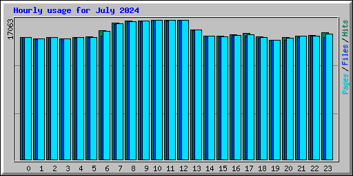 Hourly usage for July 2024