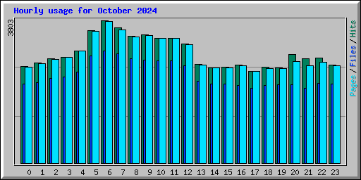 Hourly usage for October 2024