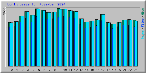 Hourly usage for November 2024