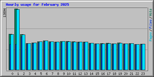 Hourly usage for February 2025