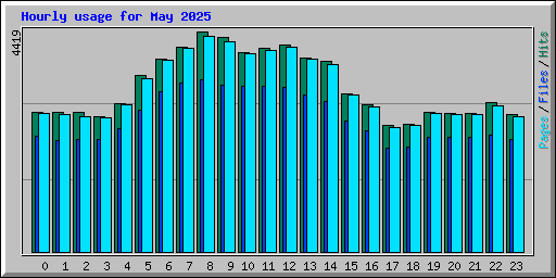 Hourly usage for May 2025