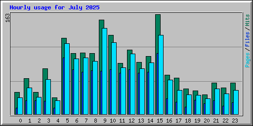 Hourly usage for July 2025