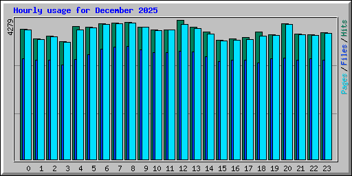 Hourly usage for December 2025