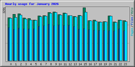 Hourly usage for January 2026