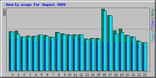 Hourly usage for August 2026
